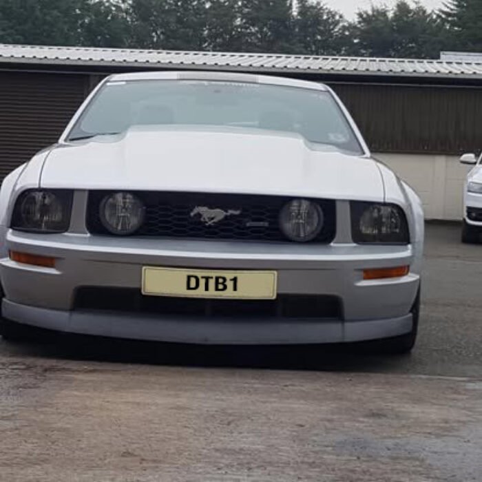 52181515_2207250086189986_4425313514709581824_n-copy copy